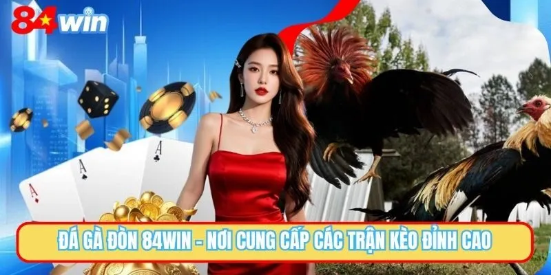Đá Gà Đòn 84WIN Mà Các Bạn Nên Thử Nay Trong Năm 2025