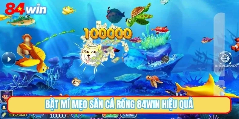Bật mí mẹo săn cá rồng 84WIN hiệu quả