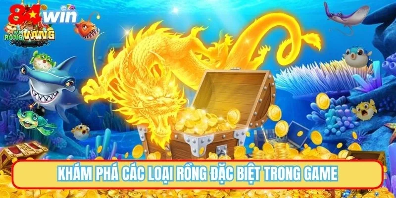 Khám phá các loại rồng đặc biệt trong game