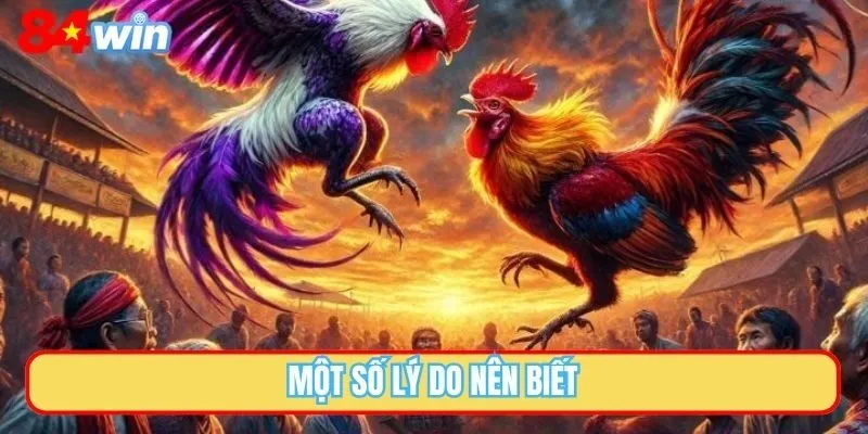 Một số lý do nên biết